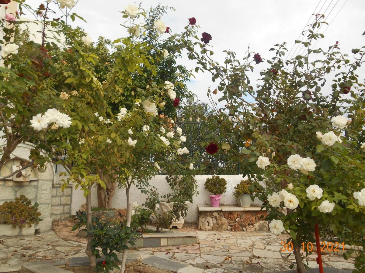 Melios Rooms Petalídhion Buitenkant foto